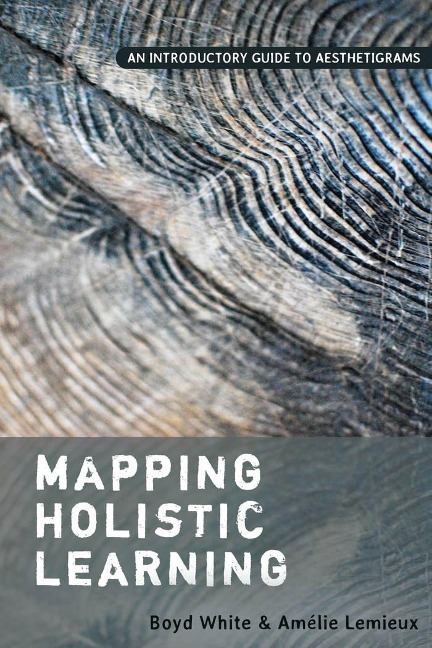 Mapping Holistic Learning: An Introductory Guide to Aesthetigrams