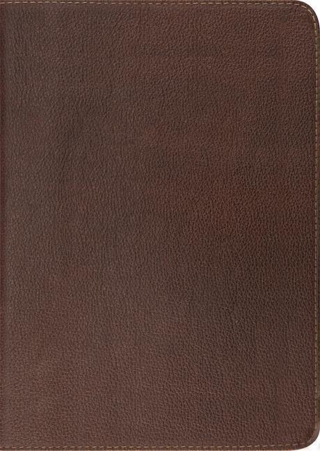 Study Bible-ESV: To Understand the Bible in a Deeper Way