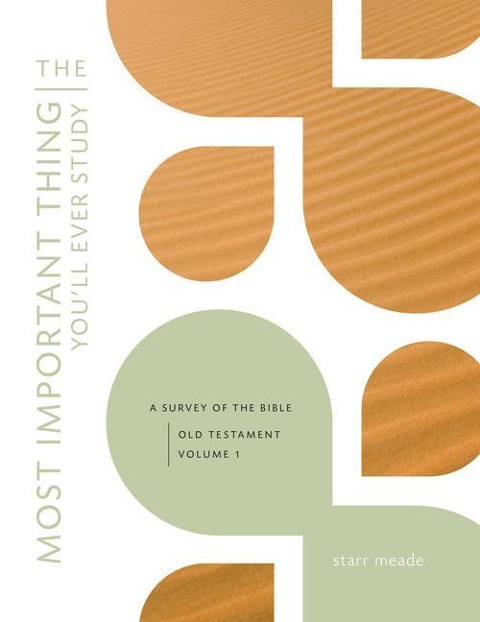 The Most Important Thing Youll Ever Study: A Survey of the Bible: Old Testament, Vol. 1