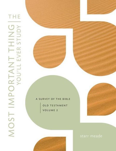 The Most Important Thing Youll Ever Study: A Survey of the Bible: Old Testament, Vol. 2