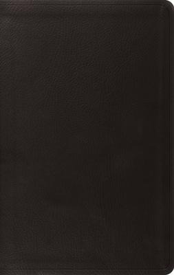 Value Thinline Bible-ESV