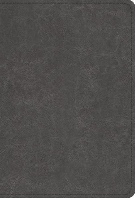 Student Study Bible-ESV