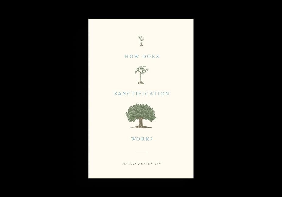 How Does Sanctification Work?