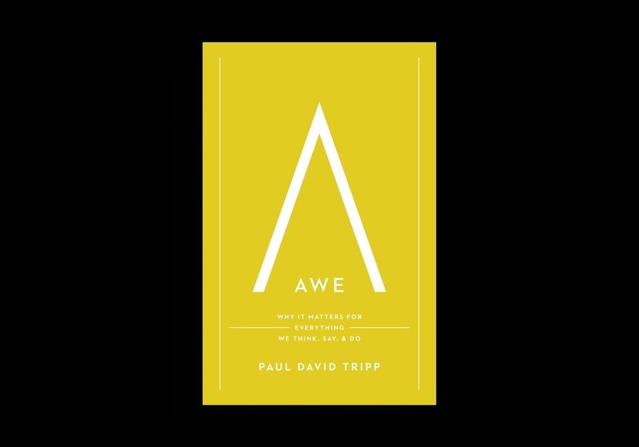 Awe: Why It Matters for Everything We Think, Say, and Do (with Study Questions)