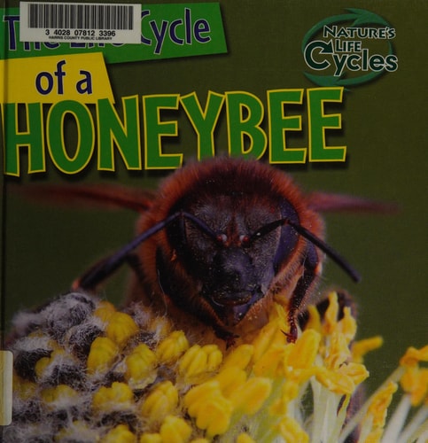 The Life Cycle of a Honeybee