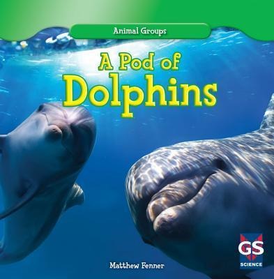 A Pod of Dolphins