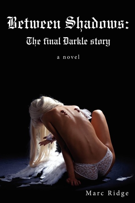 Between Shadows: The Final Darkle Story
