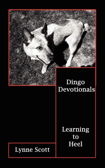 Dingo Devotionals: Learning to Heel