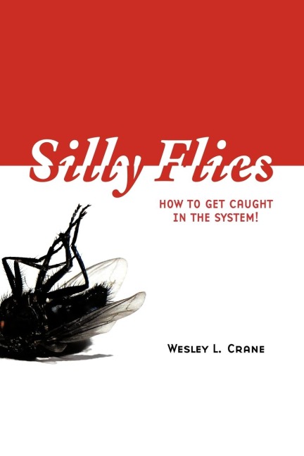 Silly Flies: How to Get Caught in the System