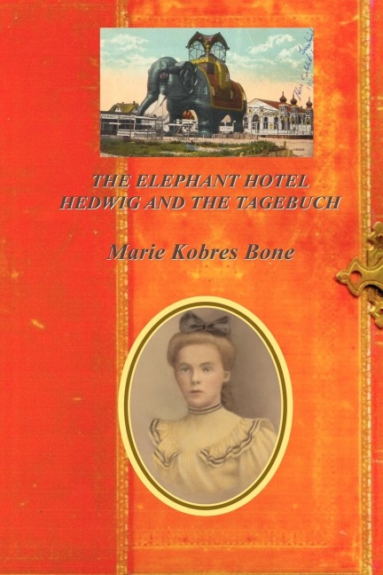 The Elephant Hotel: Hedwig & The Tagebuch