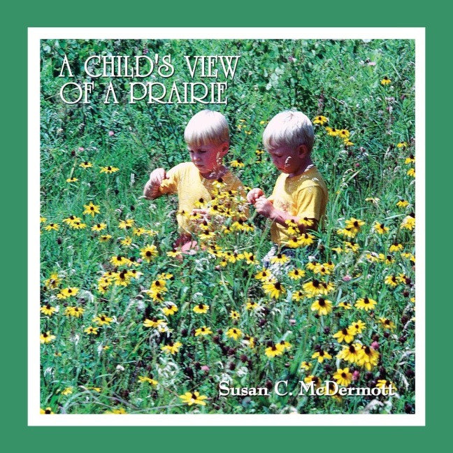 A Childs View of a Prairie