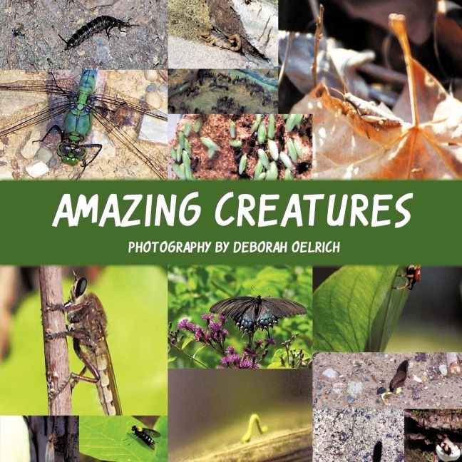 Amazing Creatures