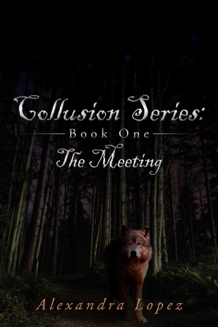 Collusion Series: Book One: The Meeting