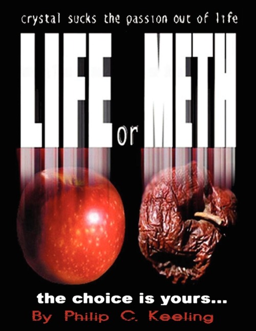 Life or Meth: A Book for Meth Users and Their Victims