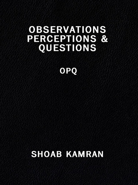 OBSERVATIONS PERCEPTIONS & QUESTIONS: OPQ