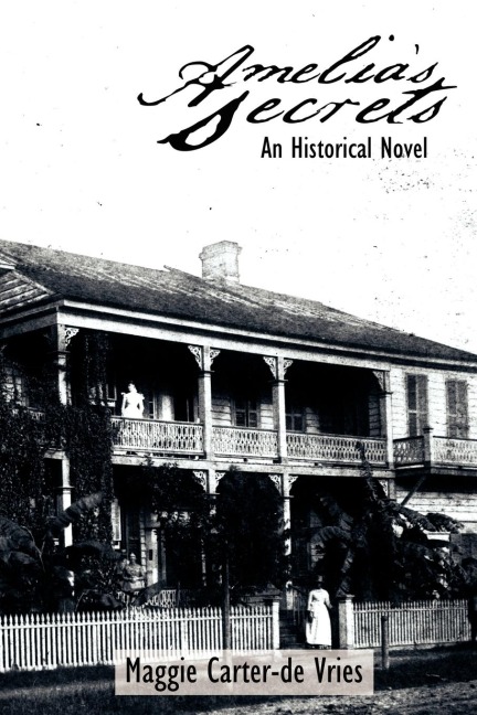 Amelias Secrets: An Historical Novel