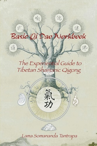 Basic Qi Dao Workbook The Experiential Guide To Tibetan Shamanic Qigong
