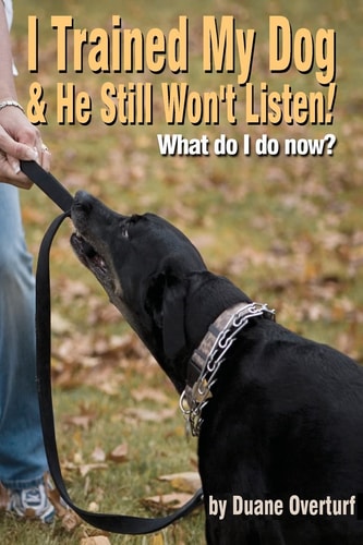 I Trained My Dog and He Still Won't Listen! What Do I Do Now?