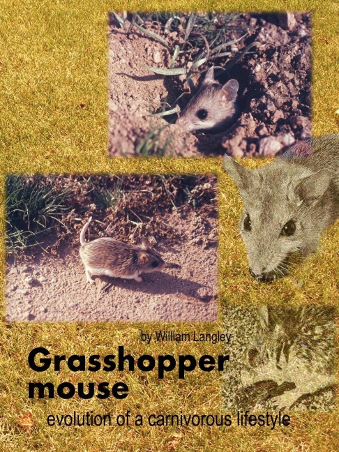 Grasshopper mouse: evolution of a carnivorous life style