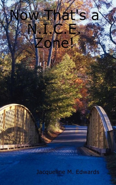 Now Thats a N.I.C.E. Zone!
