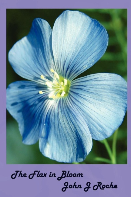 The Flax In Bloom