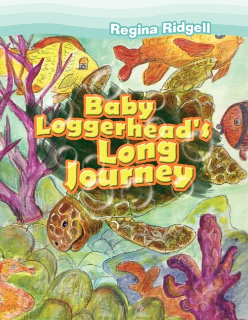 Baby Loggerheads Long Journey
