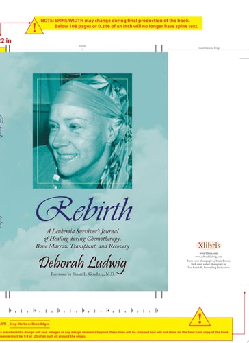 Rebirth A Leukemia Survivor's Journal of Healing During Chemotherapy, Bone Marrow Transplant and Recovery