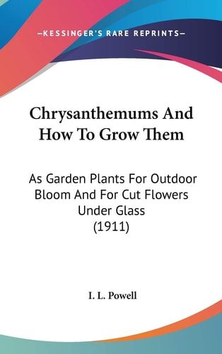 Chrysanthemums And How To Grow Them As Garden Plants For Outdoor Bloom And For Cut Flowers Under Glass (1911)