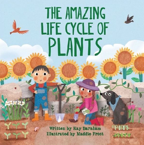 The Amazing Life Cycle of Plants