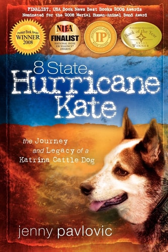 8 State Hurricane Kate The Journey and Legacy of a Katrina Cattle Dog