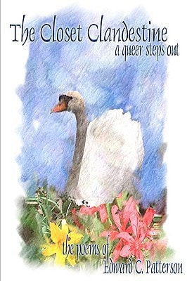 The Closet Clandestine A Queer Steps Out