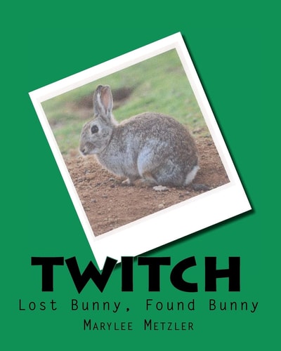 "Twitch" Lost Bunny, Found Bunny