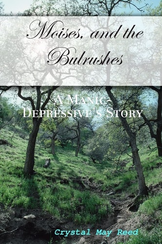 Moises, and the Bulrushes A Manic-Depressive's Story
