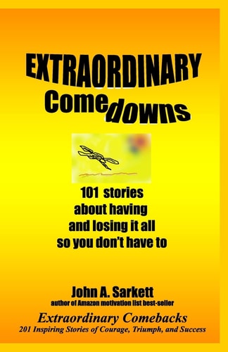 Extraordinary Comedowns 101 Stories About Having And Losing It All So You Don'T Have To