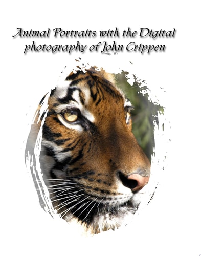Animal Portraits with the Digital Photography of John Crippen