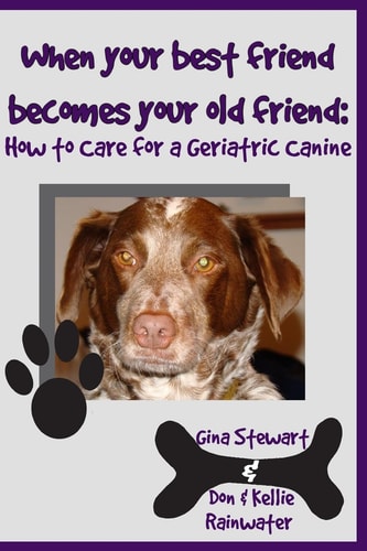 When Your Best Friend Becomes Your Old Friend How To Care For Your Geriatric Canine
