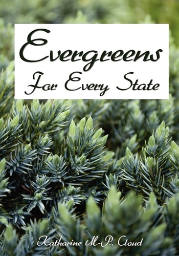 Evergreens For Every State How to Select and Grow Them Successfully in Your Locality