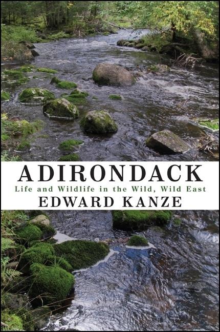 Adirondack: Life and Wildlife in the Wild, Wild East
