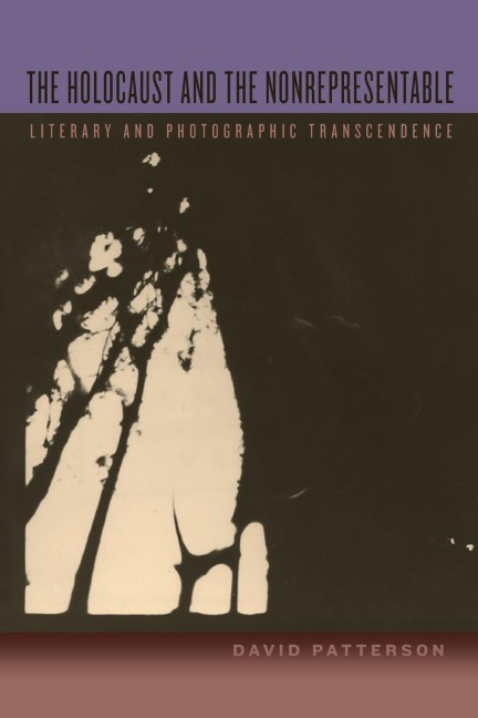 The Holocaust and the Nonrepresentable: Literary and Photographic Transcendence