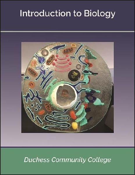 Bio030: Introduction to Biology