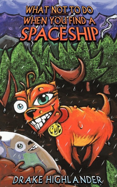 What Not to Do When You Find a Spaceship