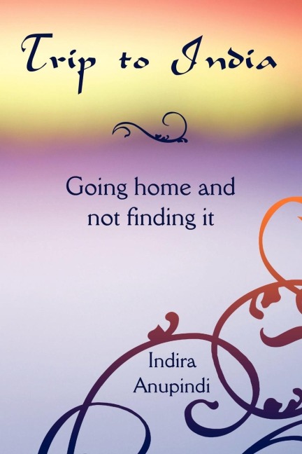Trip to India: Going home and not finding it