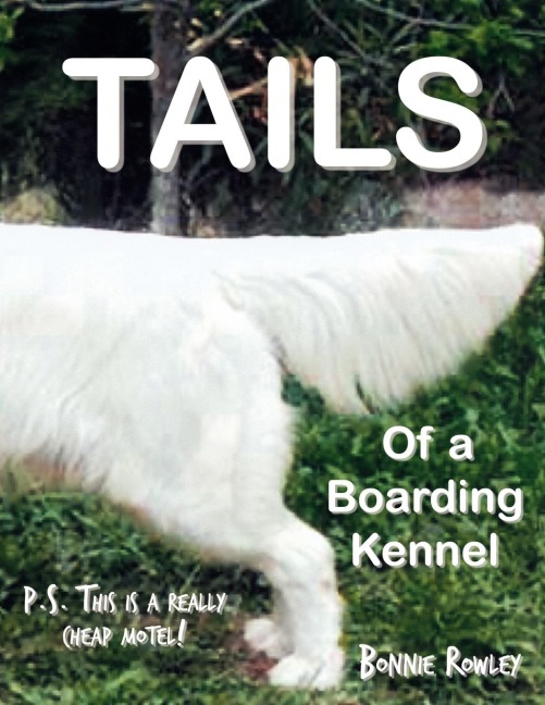Tails of a Boarding Kennel: P.S. This is a really cheap motel!