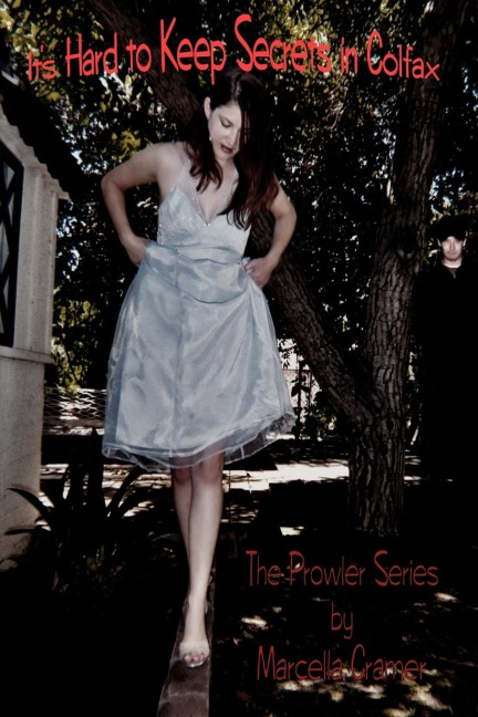 Its Hard to Keep Secrets in Colfax: The Prowler Series