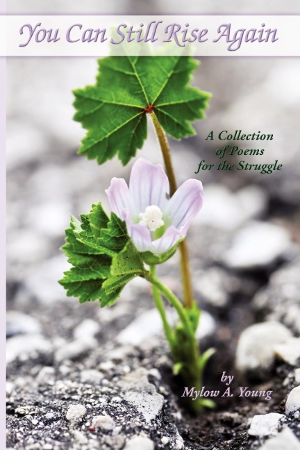 You Can Still Rise Again: A Collection of Poems for the Struggle