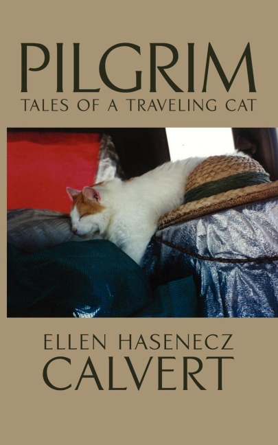 Pilgrim: Tales of a Traveling Cat