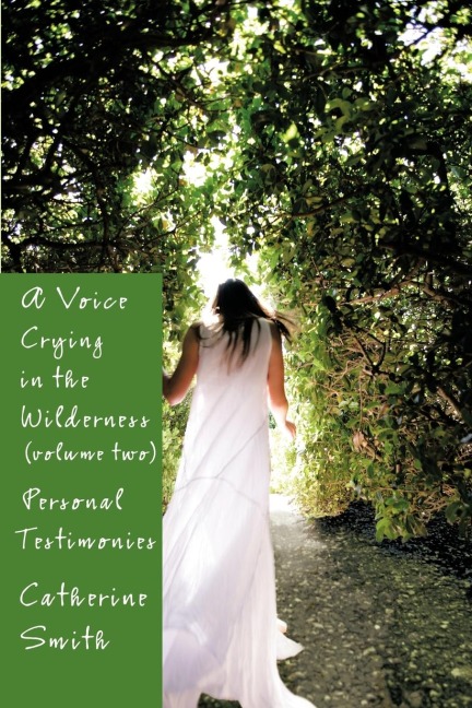 A Voice Crying in the Wilderness Volume II: Personal Testimonies