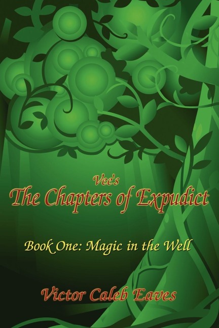 Vees the Chapters of Expudict: Book One: Magic in the Well