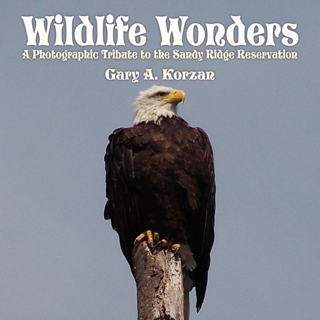 Wildlife Wonders: A Photographic Tribute to the Sandy Ridge Reservation
