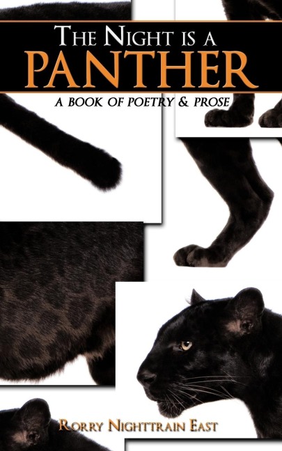 The Night is a Panther: a book of poetry & prose